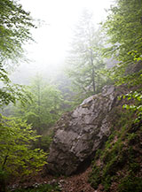 Suggestivo scorcio fra la nebbia nella Valle del Fraolito.