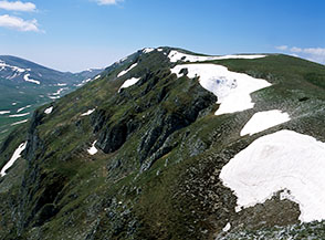 Un tratto della Cresta Nord di Serra di Rocca Chiarano.