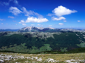 Il gruppo del Marsicano visto dalla cresta di Serra di Rocca Chiarano.