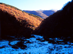 Il Vallone di Iovana ancora avvolto nella penombra mattutina.