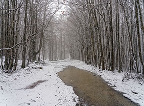 Lungo la pista che conduce alle pendici di Serra Stella.