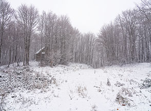 Poco pi&ugrave; a nord della Cima di Serra Stella un&rsquo;altra costruzione abbandonata si nasconde nel bosco.