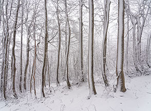 Nella morsa dell&rsquo;Inverno sulla Cresta Ovest del Timpone della Carcara (2).