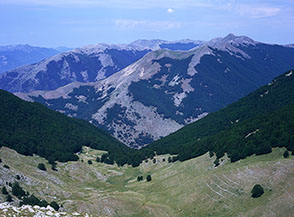 La conca prativa alla testa della Val Lattara.