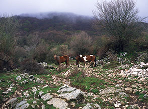 Inizio del sentiero per Monte Lupone.
