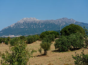Veduta della cresta dolomitica di Punta Sos Nidos sopra Oliena.