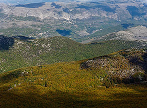 Vista sulle faggete di Bosco Canale.