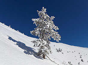 &ldquo;Suggestioni natalizie&ldquo; (risalendo i fianchi del Vallone dei Puzzilli).