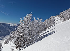 &ldquo;Suggestioni natalizie&ldquo; (risalendo i fianchi del Vallone dei Puzzilli).