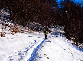 Lungo il sentiero che da Rovere s&rsquo;inoltra nel Bosco Cerasole.