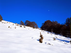 Il Sole &egrave; ancora caldo ma la Luna fa capolino nel cielo e preannuncia il crepuscolo della giornata (Bosco Cerasole).