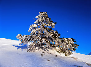&ldquo;Albero di Natale&rdquo; (sulla Cresta Nord-Ovest del Sirente).