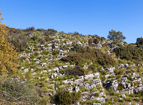 Scorcio sul fianco del Vallone Trarro.