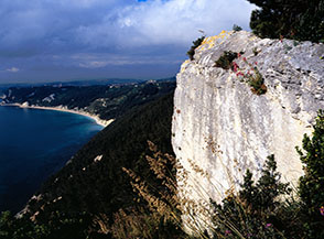 Scorcio sulla costa meridionale del Conero dal Sentiero delle Due Sorelle.