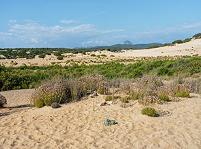 Paesaggio dunale (Dune di Piscinas, Arbus).