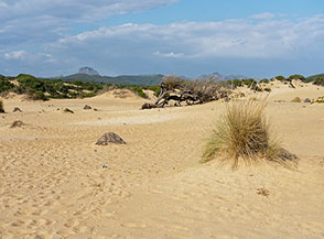 Paesaggio dunale (Dune di Piscinas, Arbus).