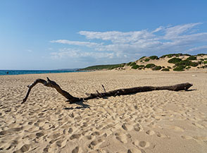 Paesaggio dunale (Dune di Piscinas, Arbus).