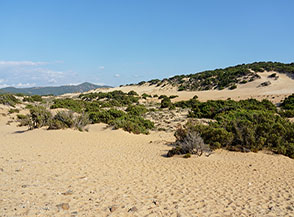 Paesaggio dunale (Dune di Piscinas, Arbus).