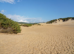 Paesaggio dunale (Dune di Piscinas, Arbus).