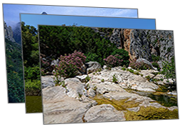 Supramonte (Sardegna)