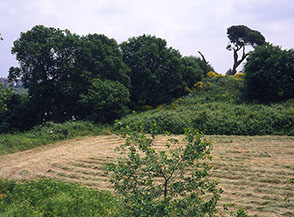 Scorcio della Valle dei Casali.