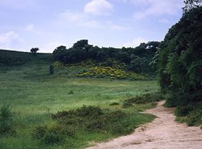 La valle centrale del Parco del Pineto.