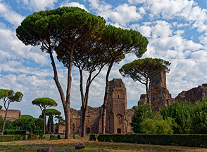 Pini di Roma alle Terme di Caracalla.