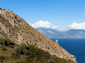 &ldquo;Profilo cilentano&ldquo; (Torre del Morrice).