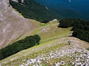 Verso il Passo del Principe lungo la Serra della Malaverna.
