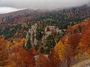 La formazione rocciosa da cui prende il nome Pietra Castello.