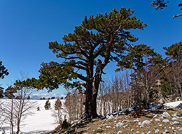 Timpone Canocchiello e Serra delle Ciavole