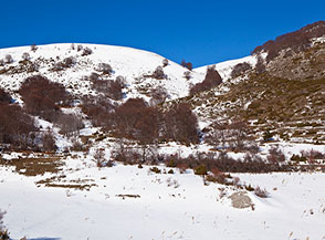 La piccola radura che s&rsquo;incontra superato il Monte del Casale.