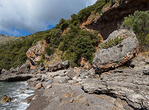 Scorcio ai margini della Spiaggia della Molara.