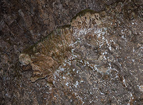 Particolare concrezione sulla volta della Grotta dell&rsquo;Acqua.
