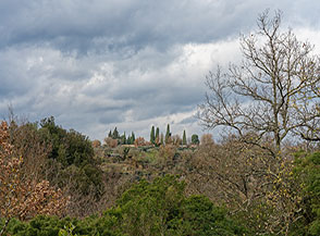 &ldquo;Cipressi di Bomarzo&ldquo;.