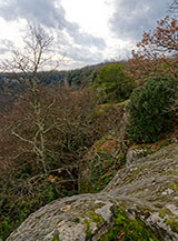 &ldquo;Seconde impressioni&ldquo; (lungo la traversata Bomarzo-Chia).