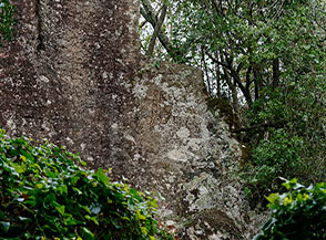 L&rsquo;antica scritta romana &ldquo;ITER PRIVATVM DVORVM DOMITIORVM&ldquo; (strada privata dei due Domizi) che si trova lungo la Tagliata delle Rocchette.