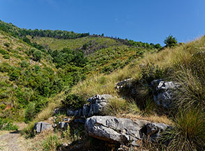 Scorcio su Serra Nunziata sopra il Vallone Trarro.