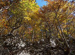 Tre Mortari Settentrionale e Balzo Jancino