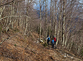 Un tratto del sentiero che dal Fosso di Nespola conduce in Valle delle Ferriere.