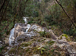 Scorcio lungo il sentiero che cala verso le Gole del Fiume Ceraso.