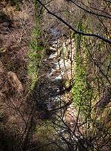 Il Fiume Ceraso gorgoglia sul fondo della Valle delle Ferriere.