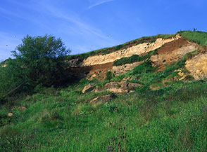 Una sezione dell&rsquo;area di scavo dove son ben evidenziate le successioni litologiche del terreno (Valle del Risario).