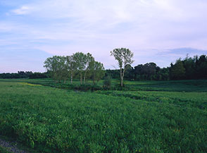 Uno stagno naturale all&rsquo;interno della Tenuta del Presidente, confinante con la valle.