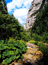 Le acque del Tenna scorrono cristalline fra suggestivi scorci nella Valle del Tenna.