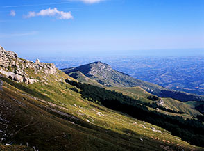 I margini del Bosco di San Nicola sotto la Cresta dell&rsquo;Arapietra, dove si staglia contro il cielo l&rsquo;Albergo Diruto.