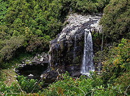 Vanillerie e Cascades de Saint Suzanne