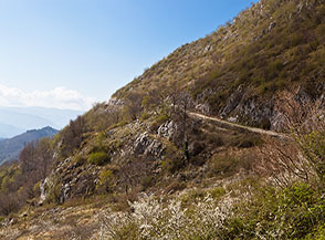 Scorcio sulla sterrata che conduce alla Cresta Sud del Monte Cervia.