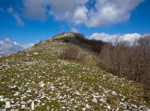 Sulla Cresta Sud del Cervia in vista della cima di Vena Maggiore.