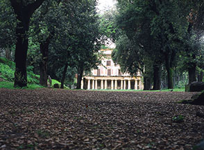 Viale di lecci a Villa Torlonia.